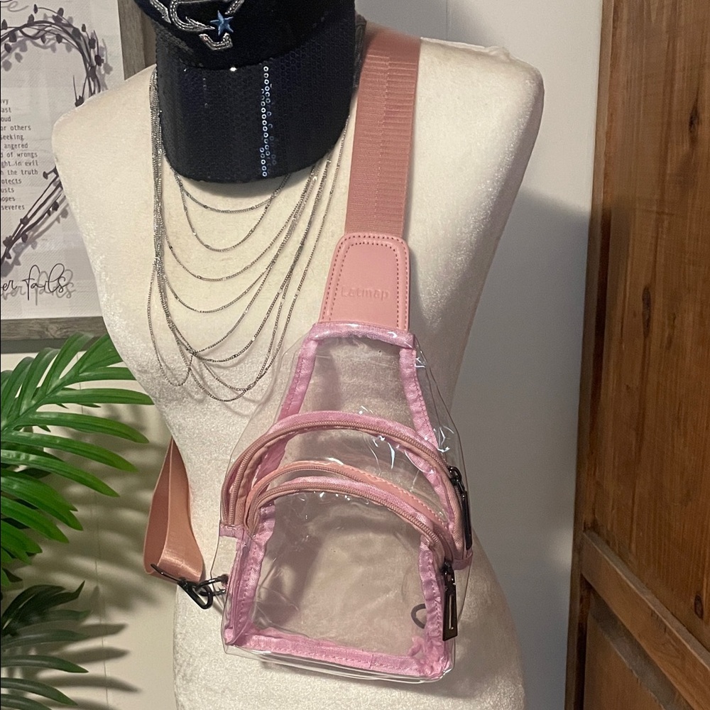 Chic Pink Transparent Backpack